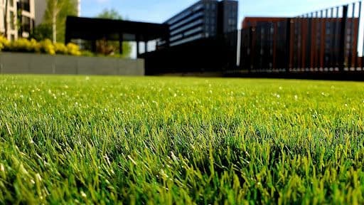 Außenanlagen in der Immobilienbewirtschaftung: Geräte, Wartung und Service richtig organisieren