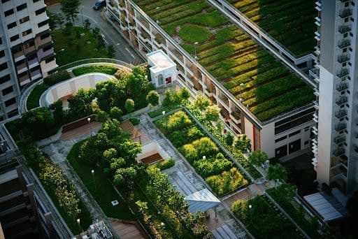 Dachbegrünung als Baustein für klimaresiliente Bestandsimmobilien: Ein Blick auf GreenDepot